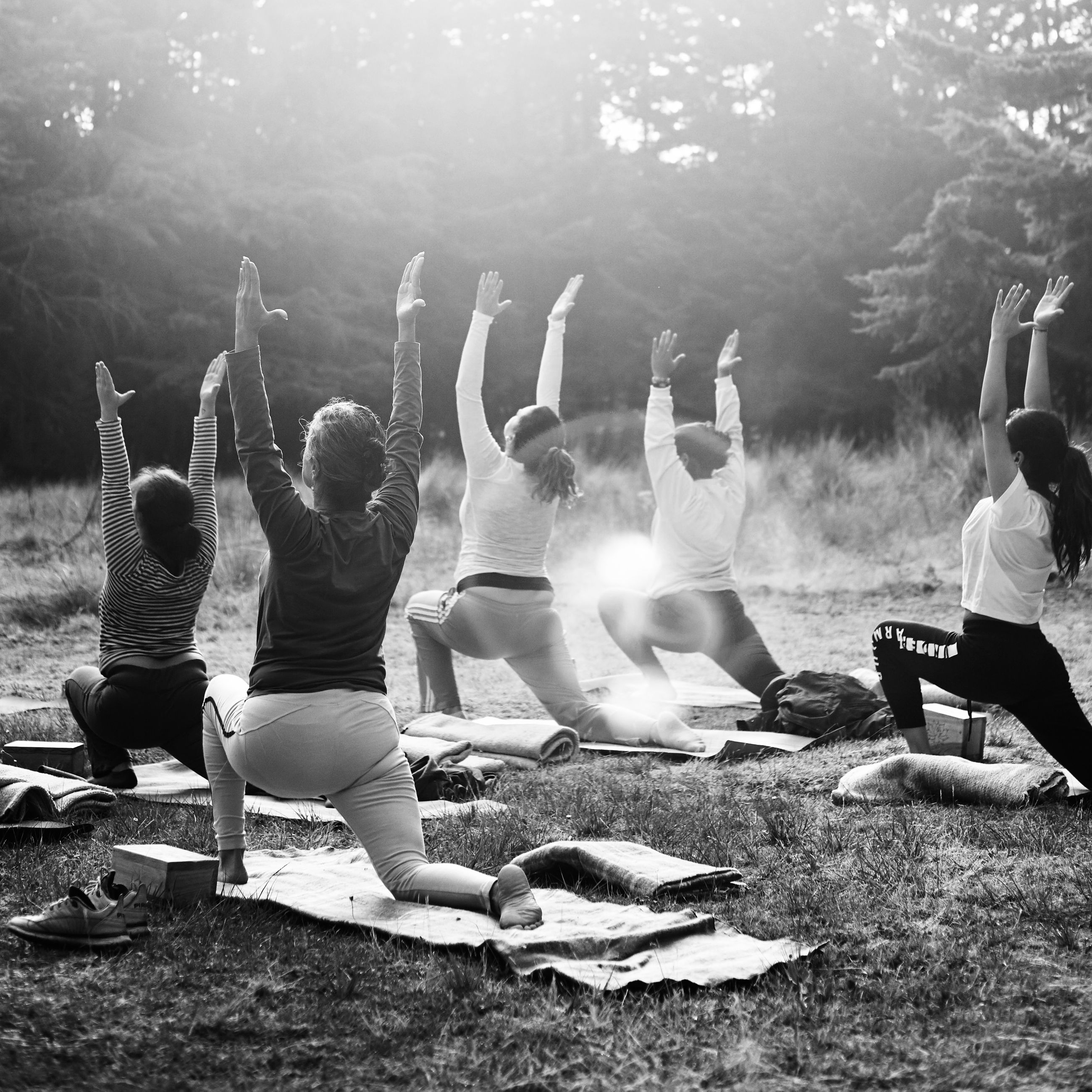 Willow Soul Yoga Home